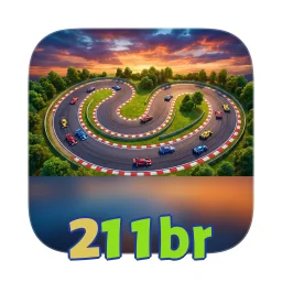 211br