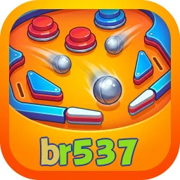 br537